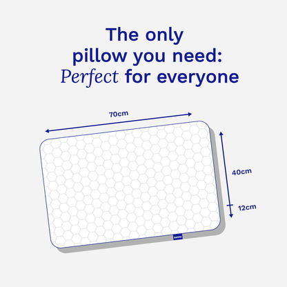 Sonno Pillow